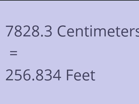 7828.3 CM TO FEET