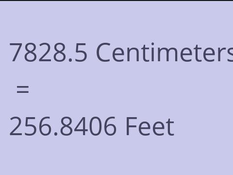 7828.5 CM TO FEET