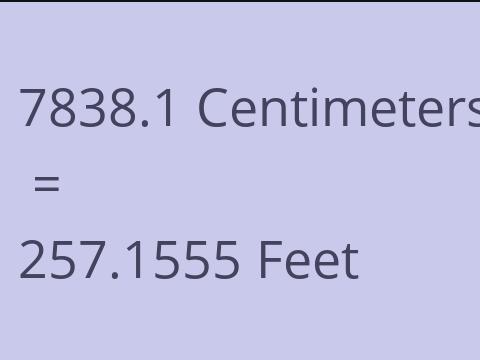 7838.1 CM TO FEET