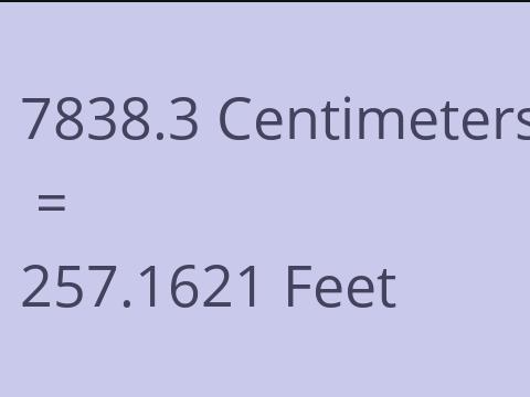 7838.3 CM TO FEET