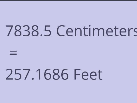 7838.5 CM TO FEET
