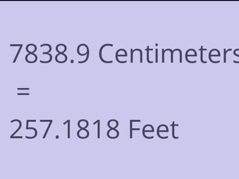 7838.9 CM TO FEET