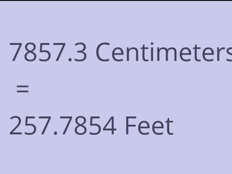 7857.3 CM TO FEET