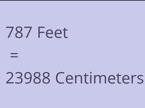 787 FEET TO CM