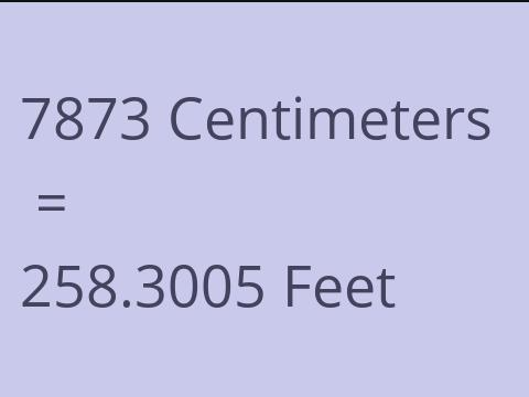 7873 CM TO FEET