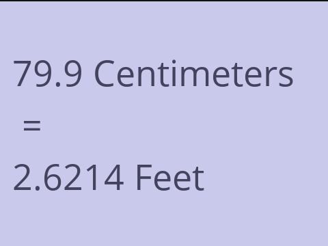 79.9 CM TO FEET