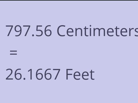 797.56 CM TO FEET