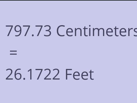 797.73 CM TO FEET