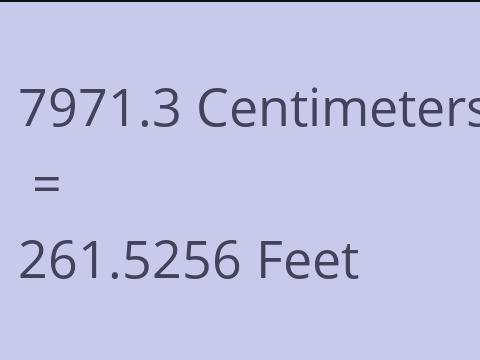 7971.3 CM TO FEET