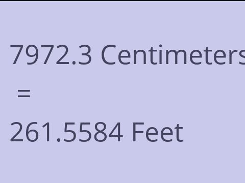 7972.3 CM TO FEET
