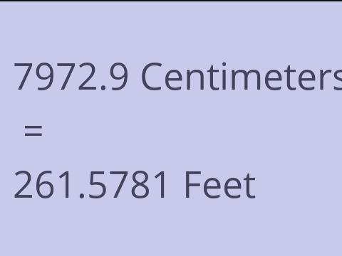 7972.9 CM TO FEET