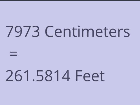7973 CM TO FEET