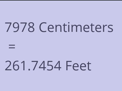 7978 CM TO FEET
