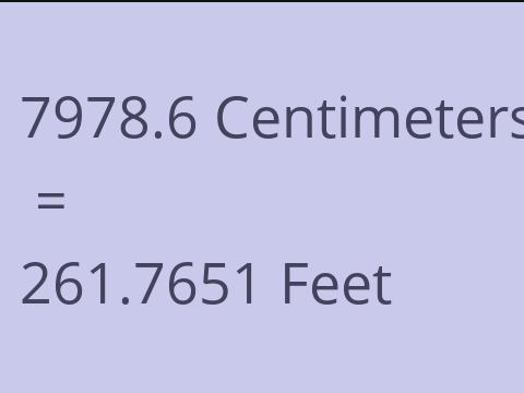 7978.6 CM TO FEET