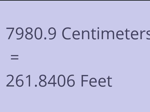 7980.9 CM TO FEET