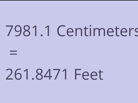 7981.1 CM TO FEET