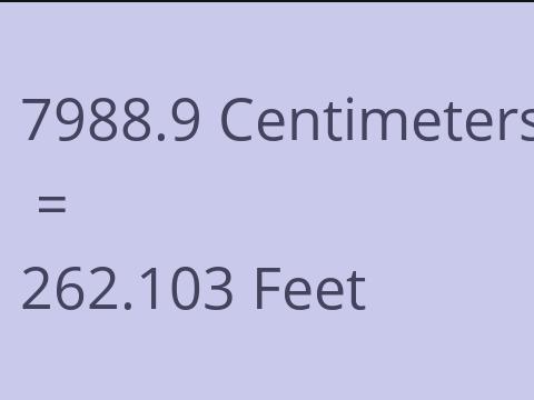 7988.9 CM TO FEET