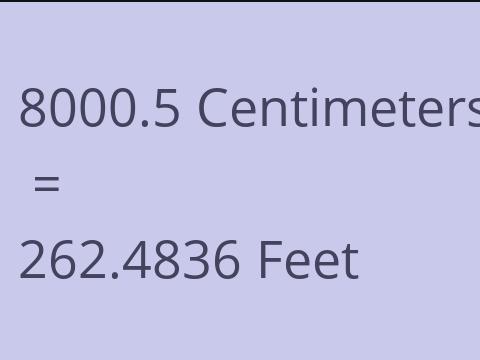 8000.5 CM TO FEET