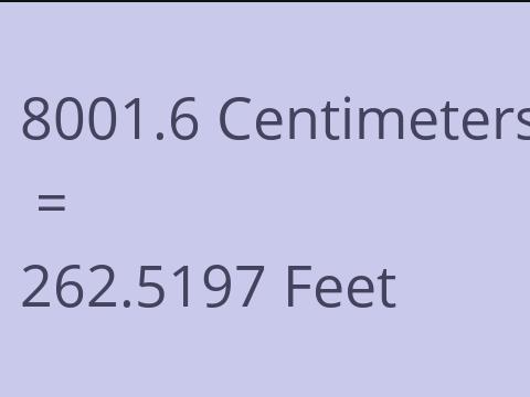8001.6 CM TO FEET