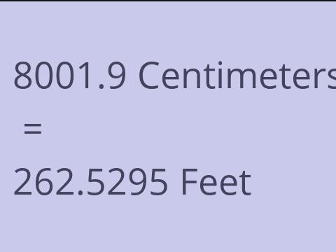 8001.9 CM TO FEET