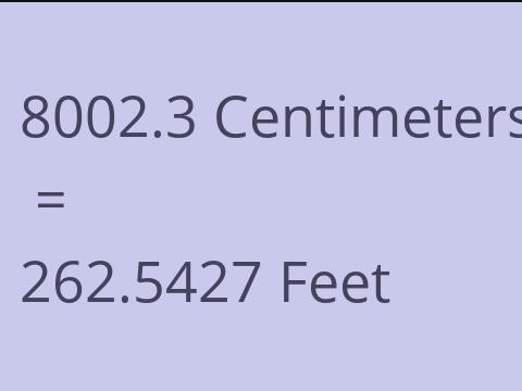 8002.3 CM TO FEET
