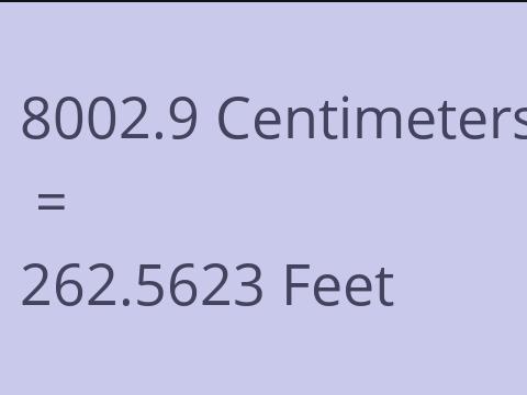 8002.9 CM TO FEET