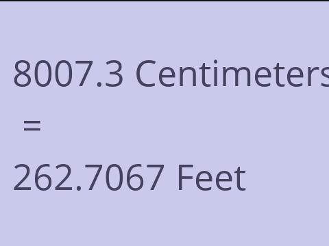 8007.3 CM TO FEET
