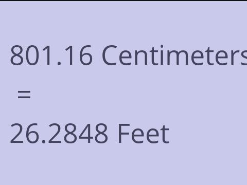 801.16 CM TO FEET