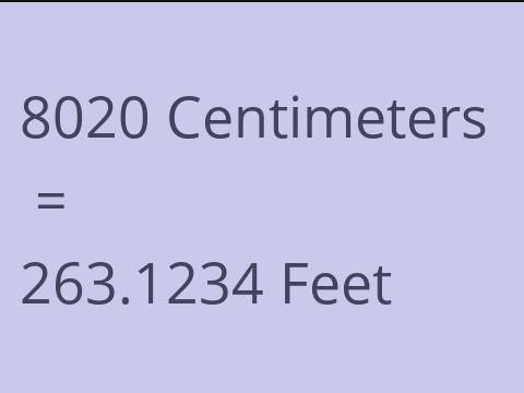 8020 CM TO FEET