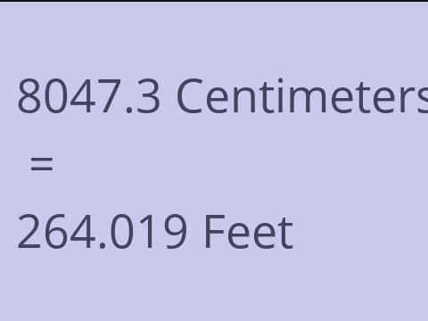 8047.3 CM TO FEET