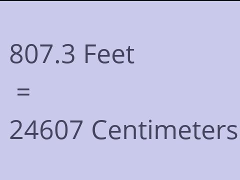 807.3 FEET TO CM