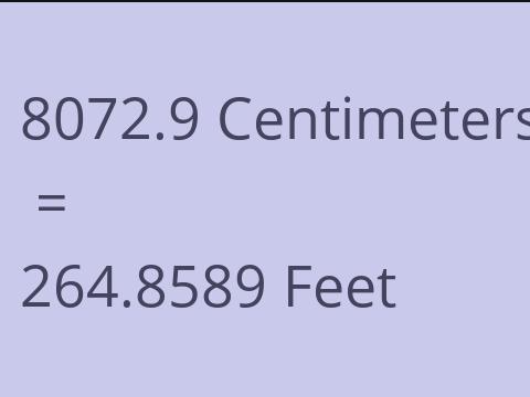 8072.9 CM TO FEET