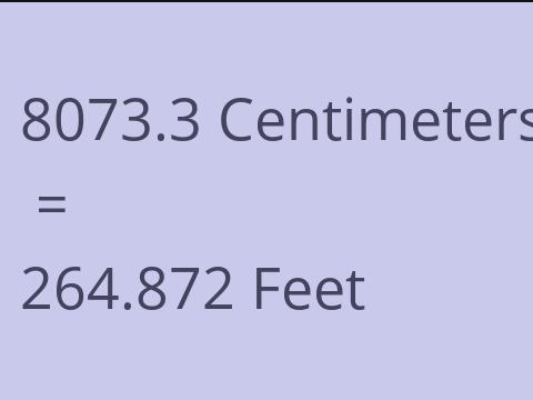 8073.3 CM TO FEET