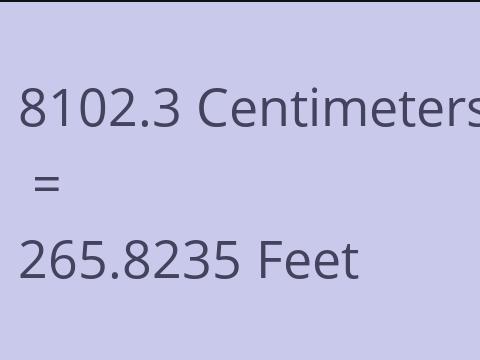 8102.3 CM TO FEET