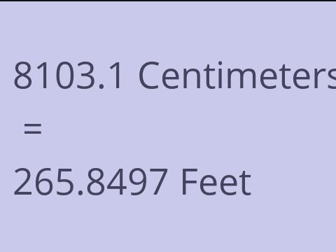 8103.1 CM TO FEET