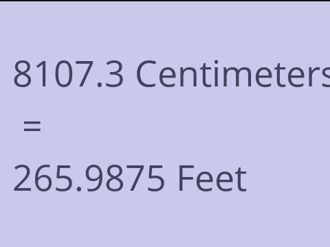 8107.3 CM TO FEET