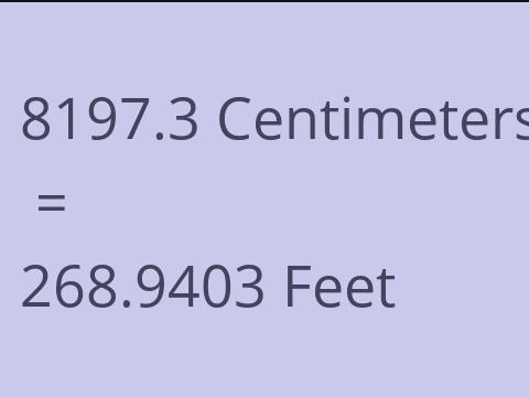 8197.3 CM TO FEET