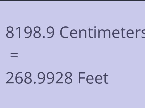 8198.9 CM TO FEET