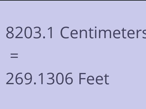 8203.1 CM TO FEET