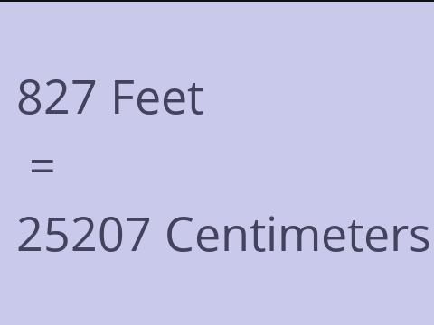 827 FEET TO CM