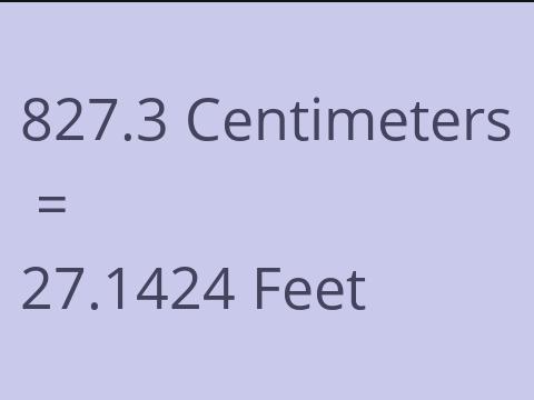 827.3 CM TO FEET