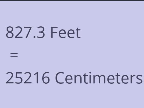 827.3 FEET TO CM