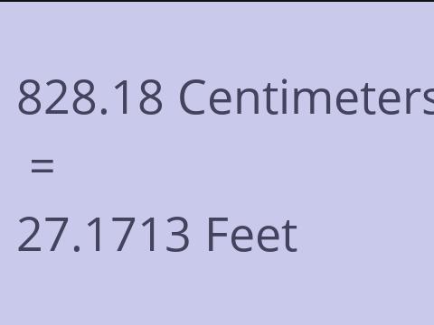 828.18 CM TO FEET