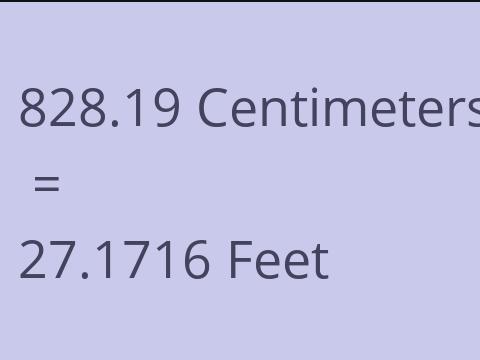 828.19 CM TO FEET