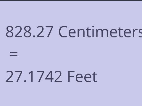 828.27 CM TO FEET