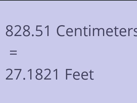 828.51 CM TO FEET