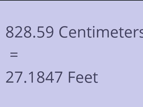 828.59 CM TO FEET