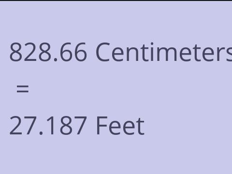 828.66 CM TO FEET