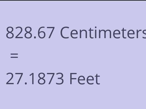 828.67 CM TO FEET