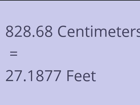 828.68 CM TO FEET